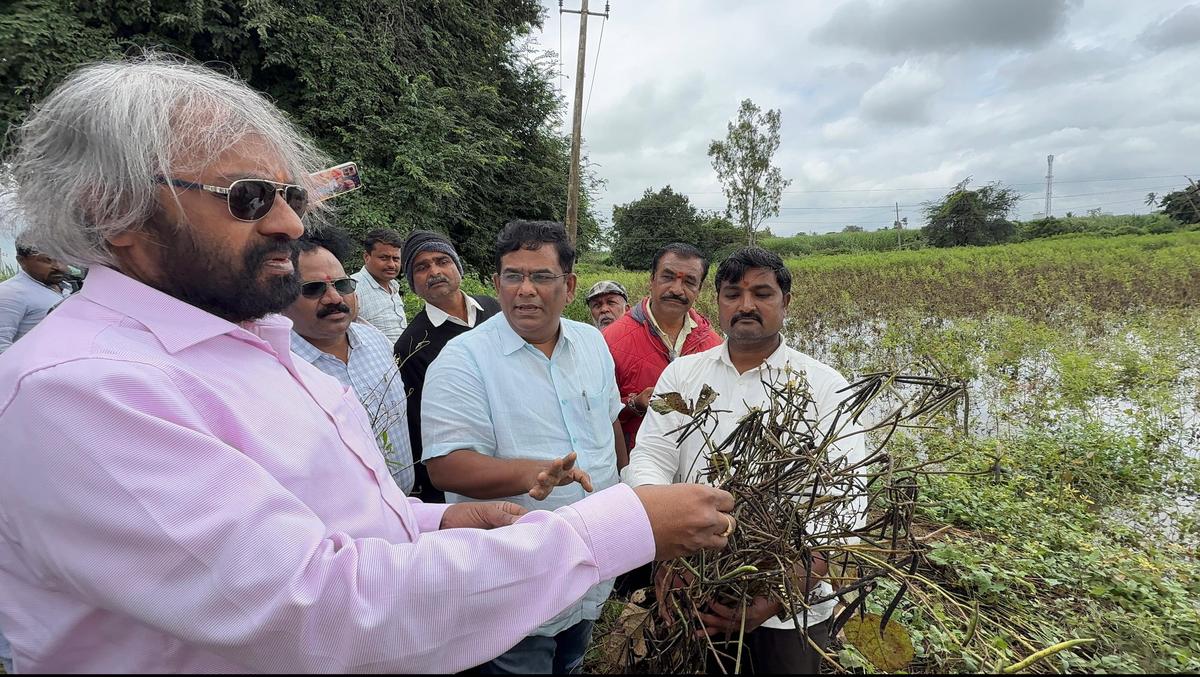 Karnataka rain: Minister orders immediate crop insurance relief, school  repairs in Bidar - The Hindu