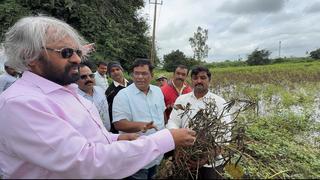 Farmers seek more compensation for crop damage by wild animals in Dharwad  district of Karnataka - The Hindu