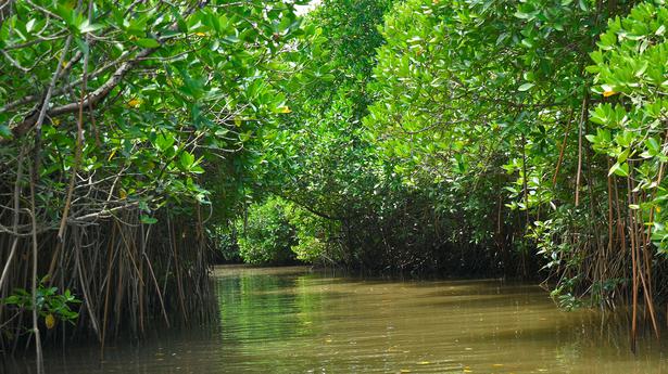 Five more Indian sites recognised in Ramsar List as wetlands of international importance