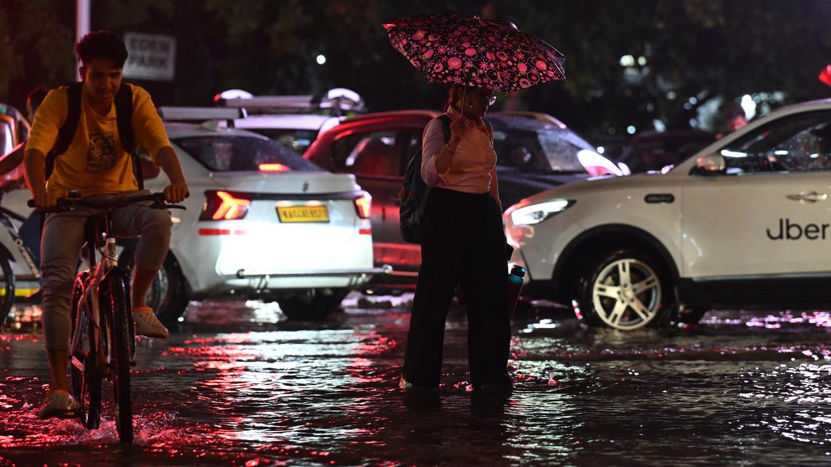 Over 3,000 tree and branch fall incidents reported across Bengaluru in a month