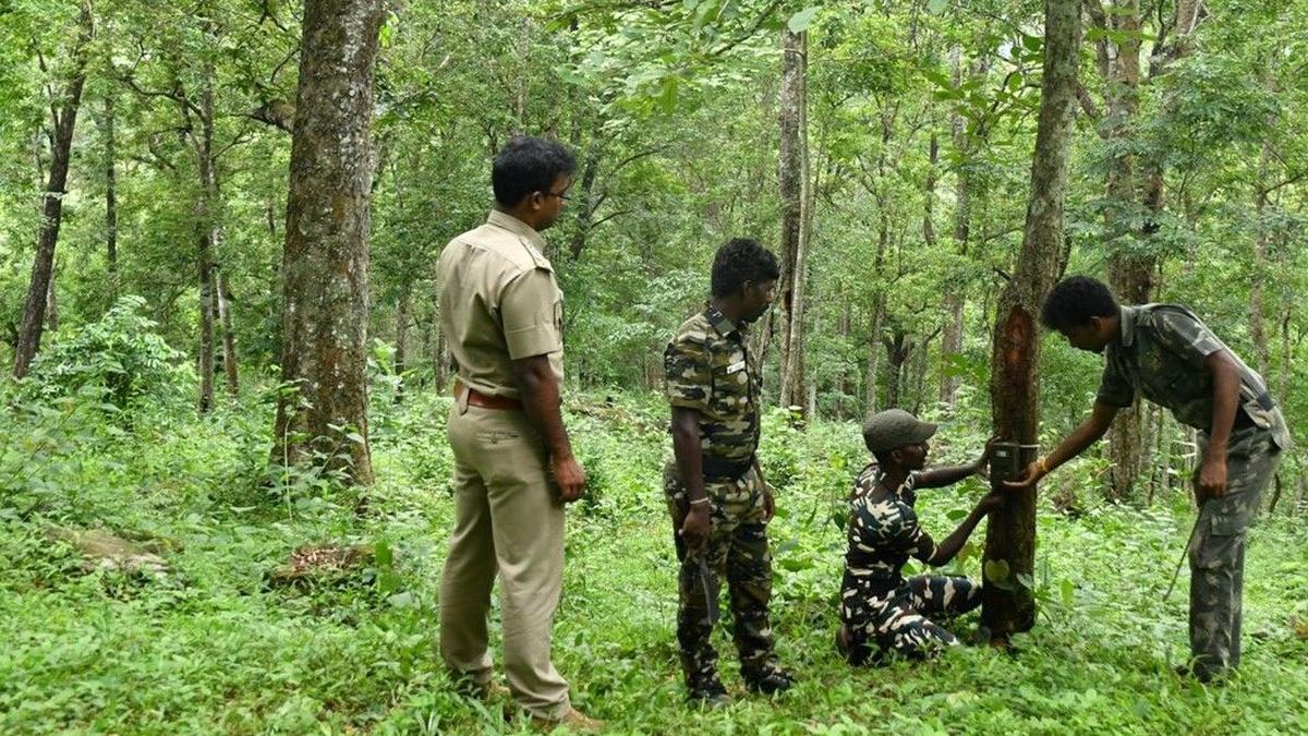 Camera traps placed in Valparai tea estate as leopard attacks two workers