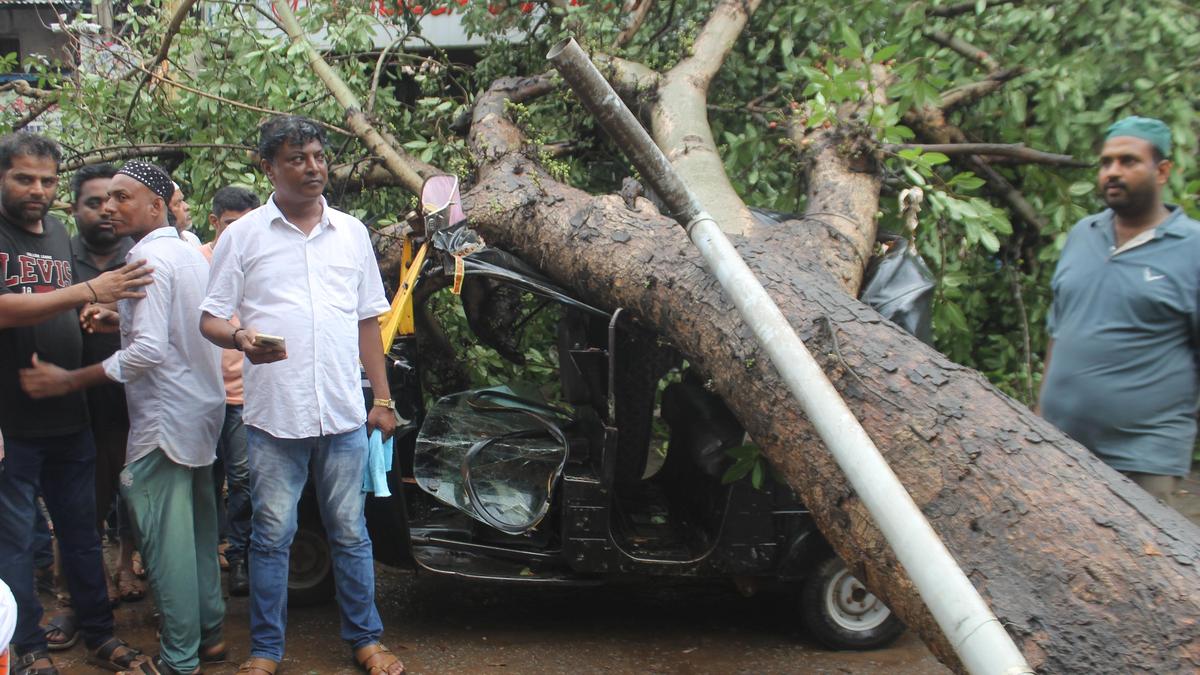 Downpour, gusty winds uproot trees, throw life out of gear in Hubballi