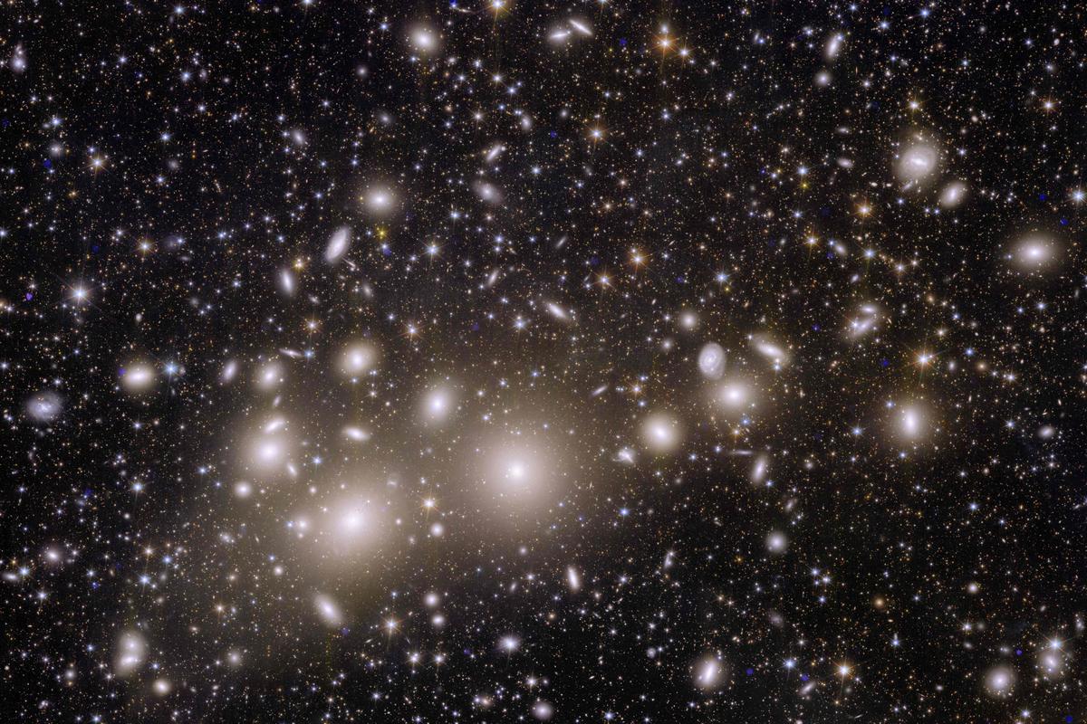 This undated handout obtained on November 2, 2023 from the European Space Agency ESA shows an alternative crop of an astronomical image of galaxies belonging to the Perseus Cluster taken during ESA’s Euclid space mission, which is built and operated by the European Space Agency ESA and with contributions from NASA. 