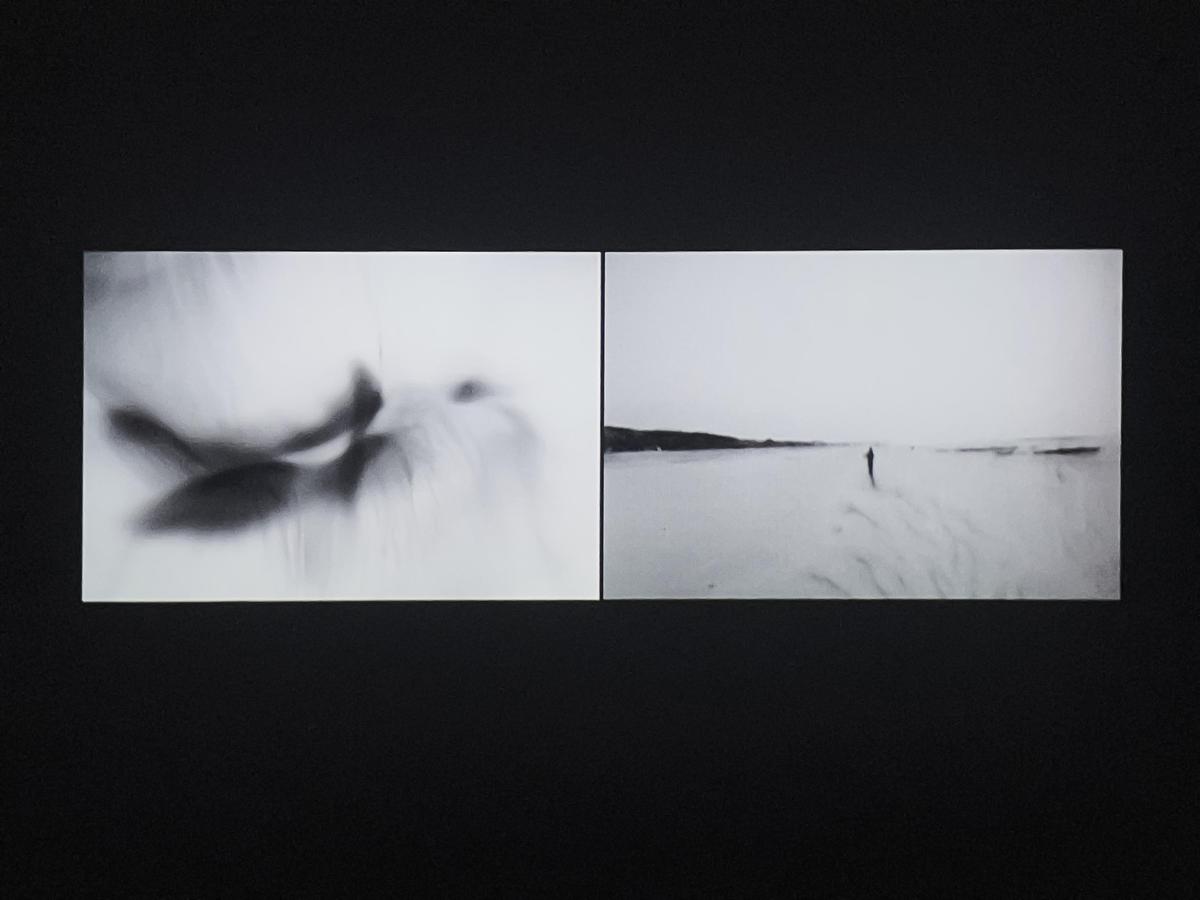 आर्किटेक्चर ऑफ़ रिमेम्बरिंग में प्रैक्सिस डु स्मारिका आर्किटेक्चर ऑफ़ रिमेम्बरिंग में प्रैक्सिस डु स्मारिका