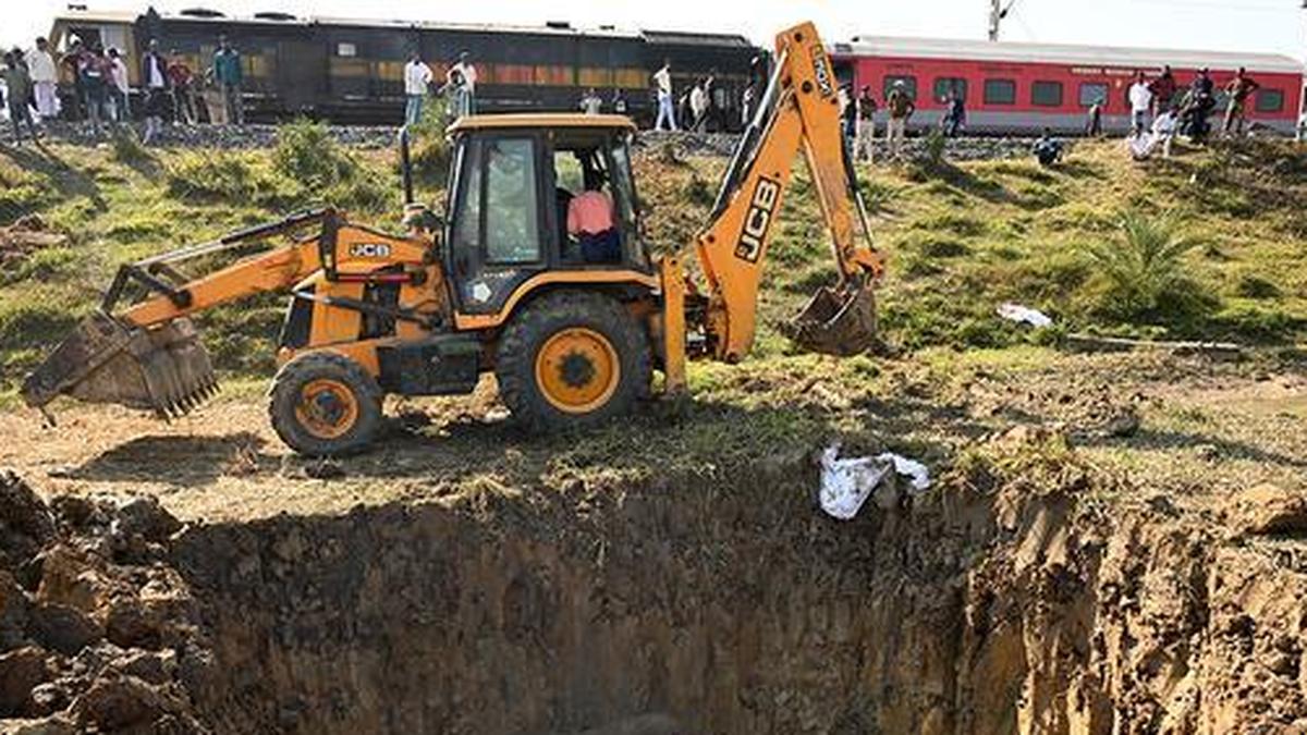Train-hit elephant calf dies at Kaziranga rescue centre
