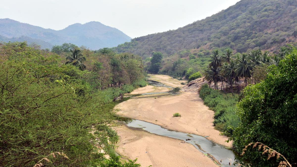 Vaigai needs a thorough cleaning from the hills to the sea