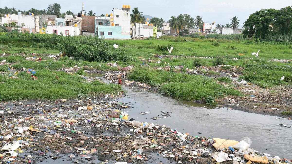 Devanur Lake to be rejuvenated at a cost of ₹6 crore