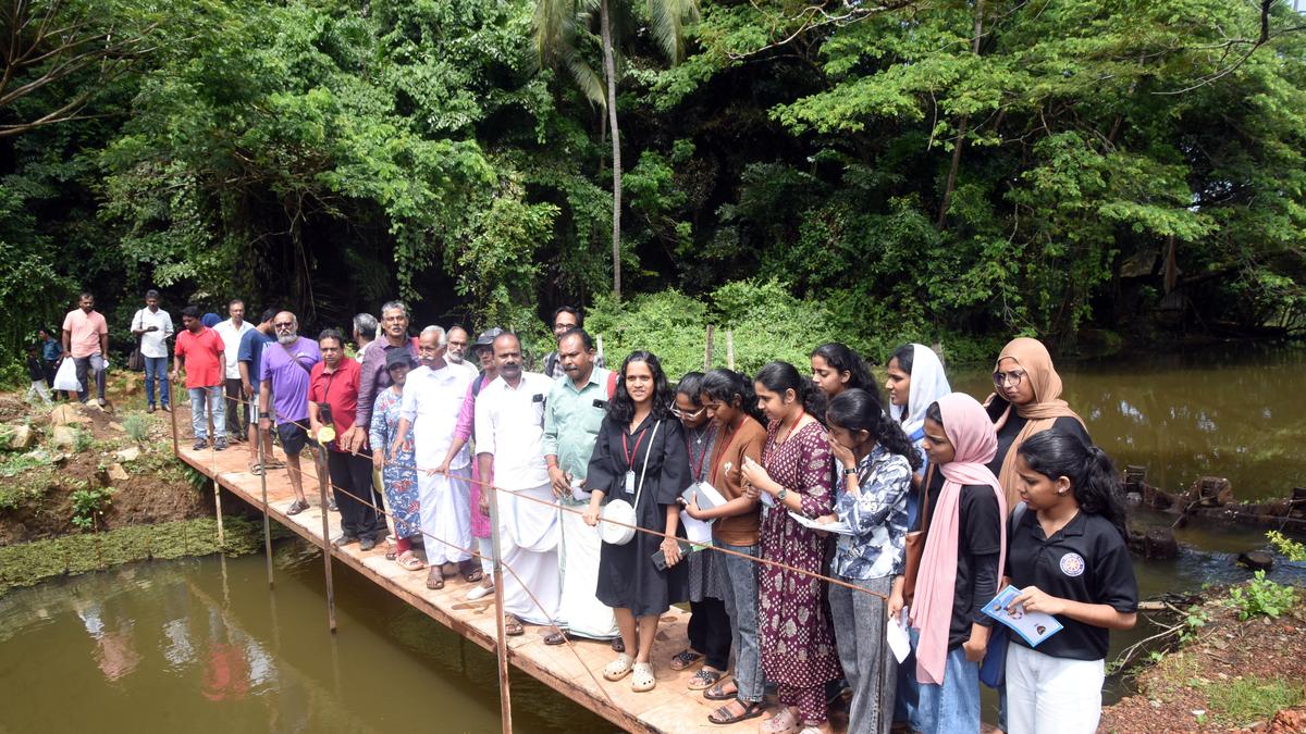 Experts identify widespread destruction of Kottooli wetlands