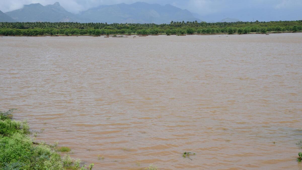 NGT Directs Tamil Nadu Government to Notify Perur-Sundakamuthur Tank as Wetland