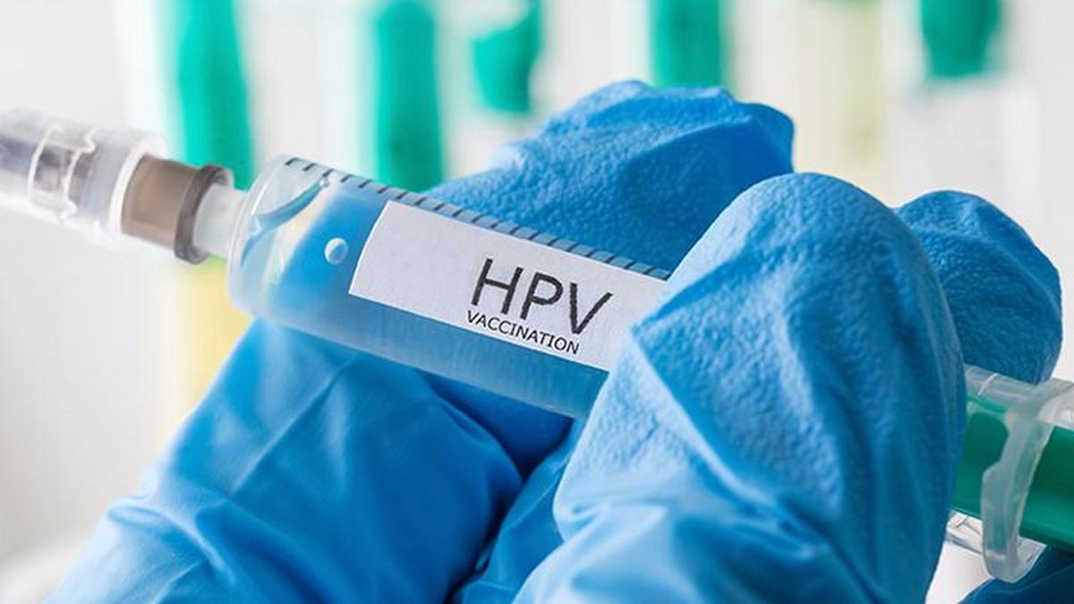 What is the HPV vaccine&rsquo;s role in preventing cervical cancer? 
Premium