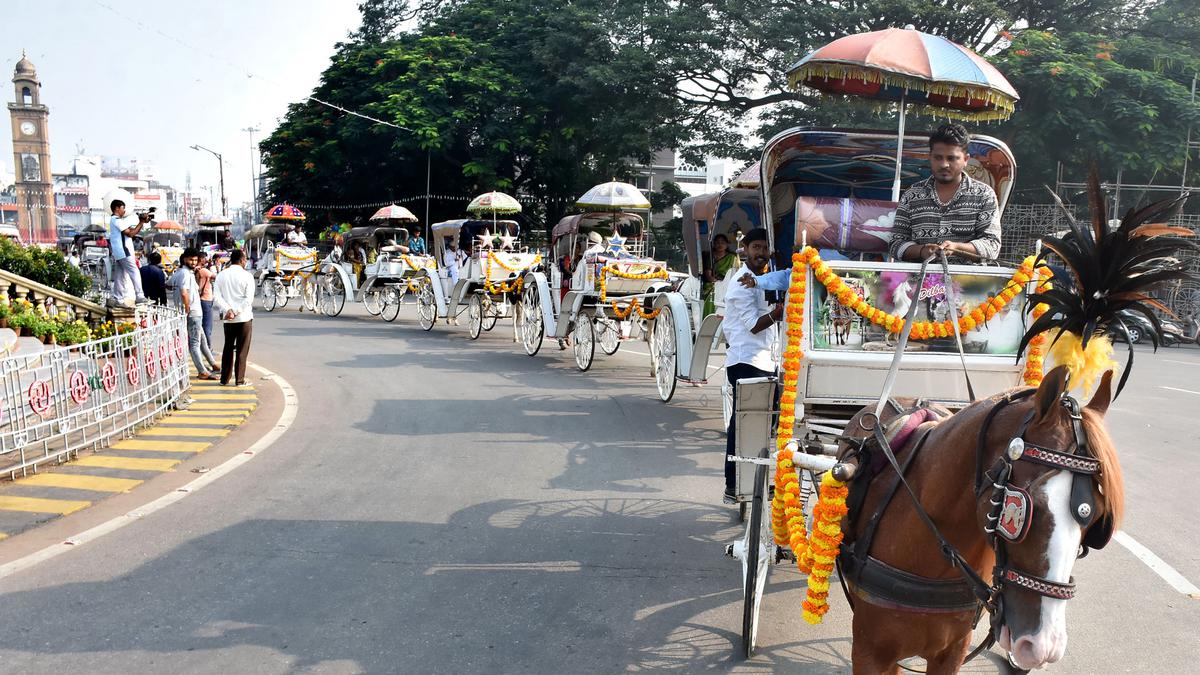 Almost 95% hotels rooms booked in Mysuru as Dasara enters final phase