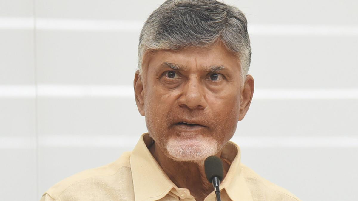 Andhra Pradesh CM Naidu promises all-round development in villages