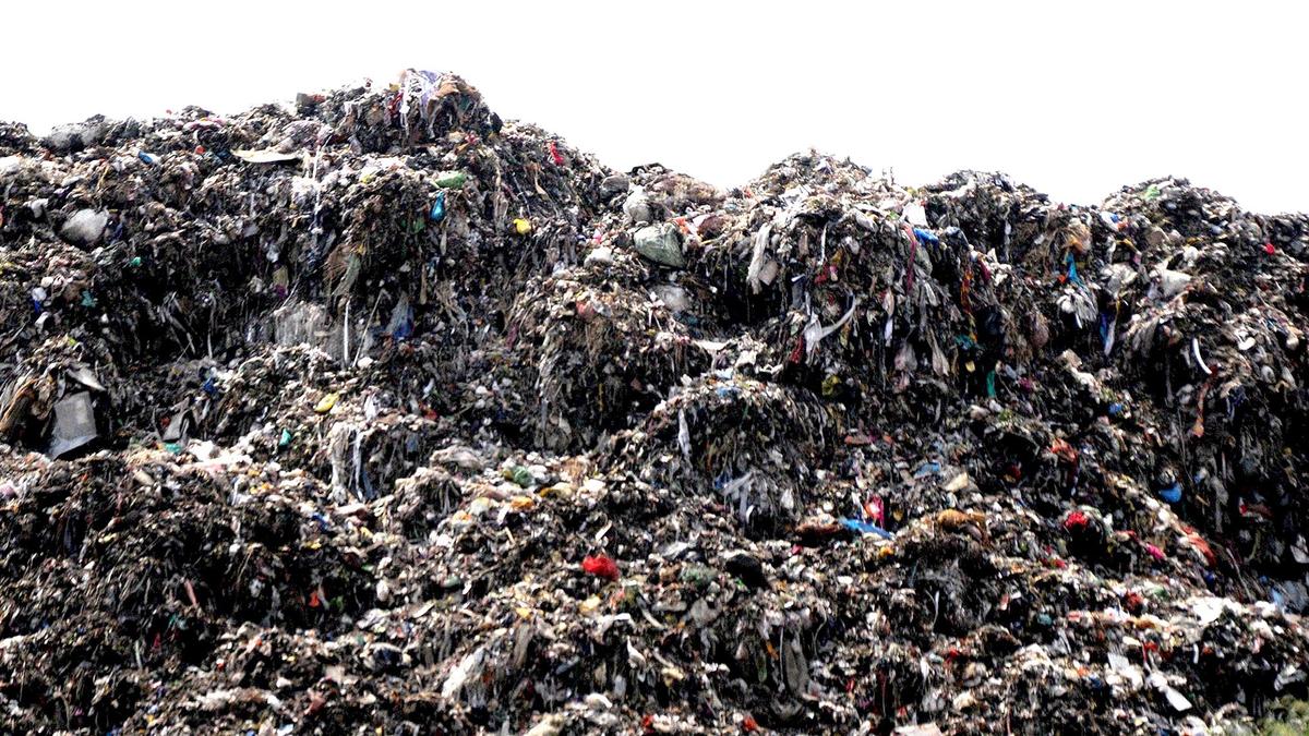 NGT sets up joint committee to remedy garbage heap situation in Punjab