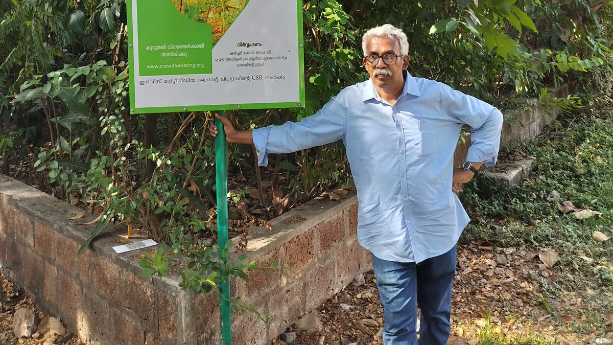 Miyawaki Nature Lab in Thiruvananthapuram shows how micro-forests transform the soil and the environment