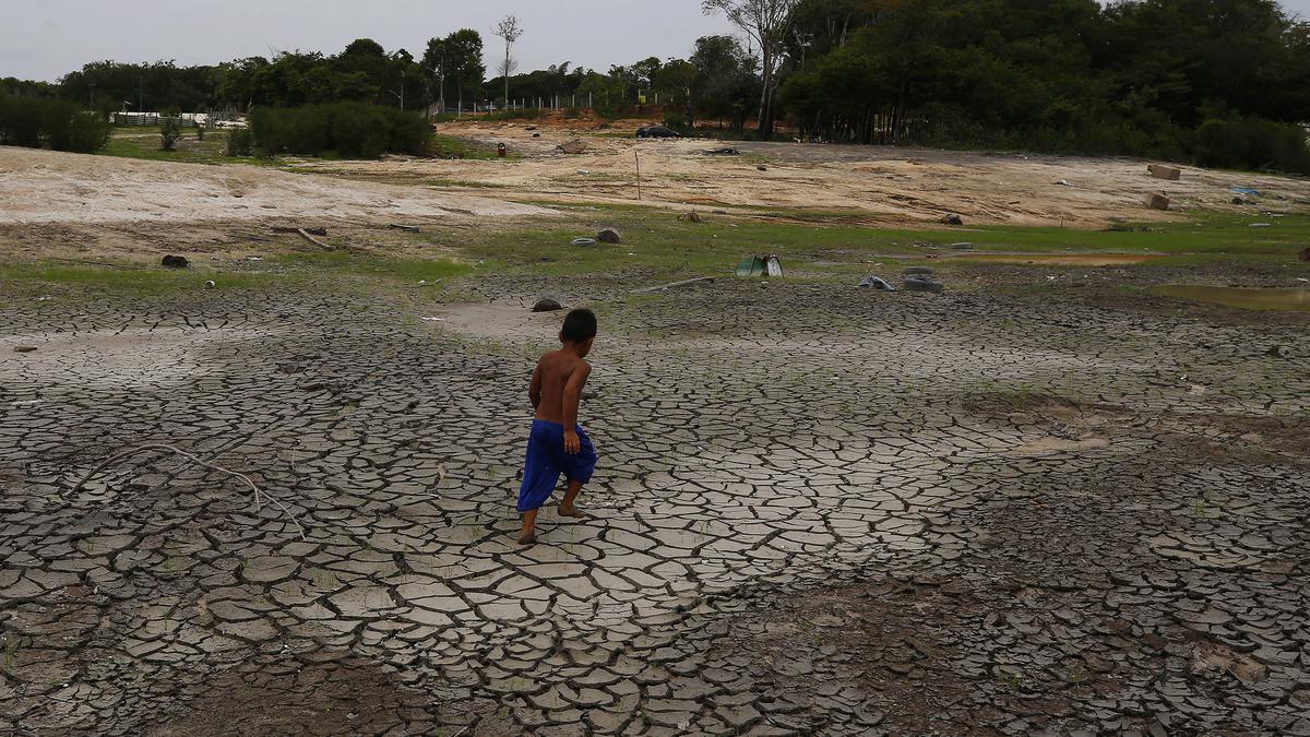 In Brazil's Amazon, rivers fall to record low levels during drought