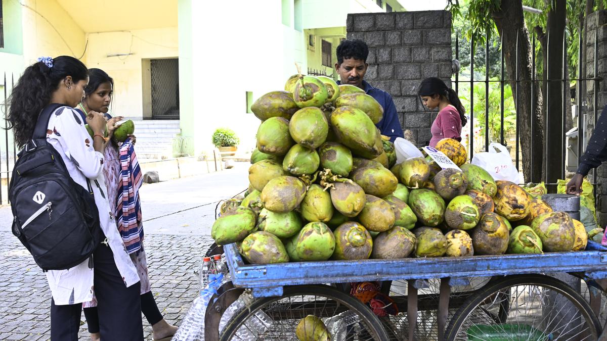 Telangana reels under heatwave as 28 districts record over 40°C; Adilabad sizzles at 42°C