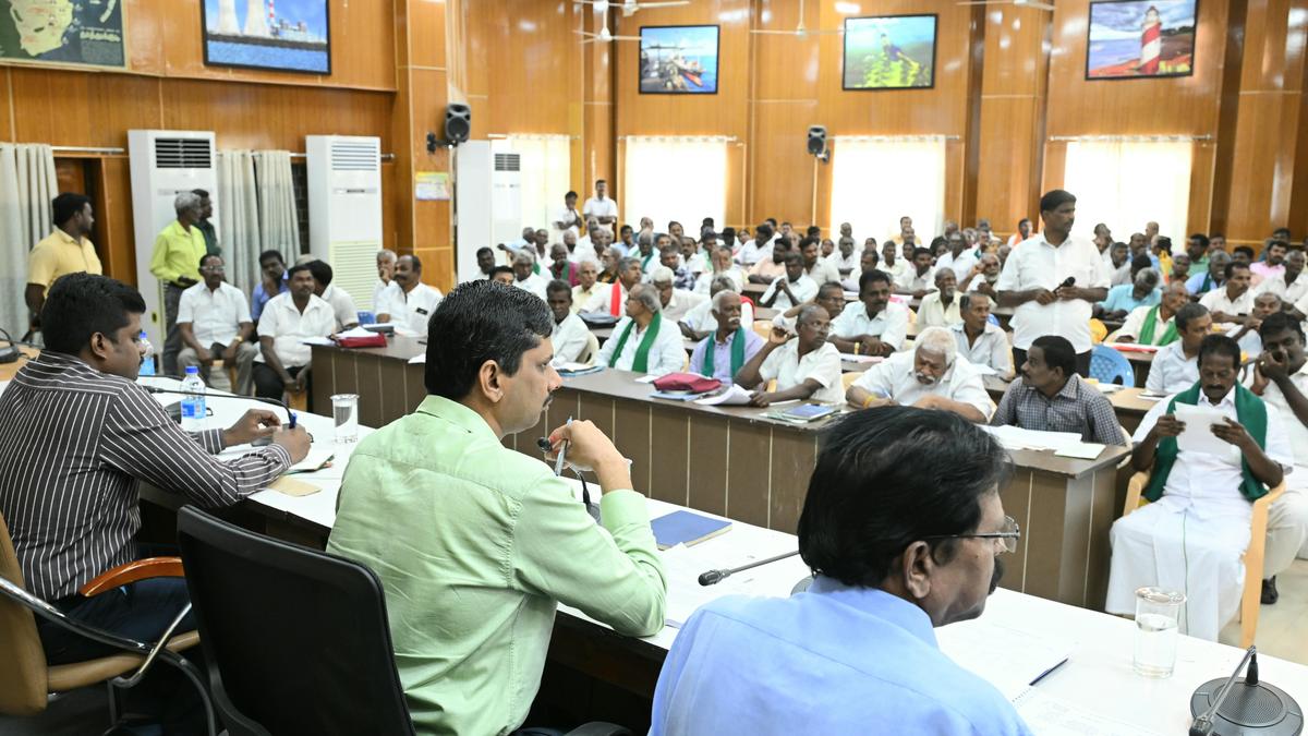 Crop-raiding animals in Thoothukudi district are common pigs and not wild boars, says Collector