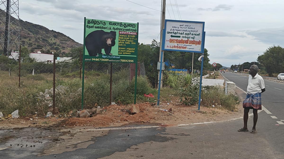 Forest dept. cautions public on sloth bear movement near T. Subbulapuram; display boards put up on vantage locations