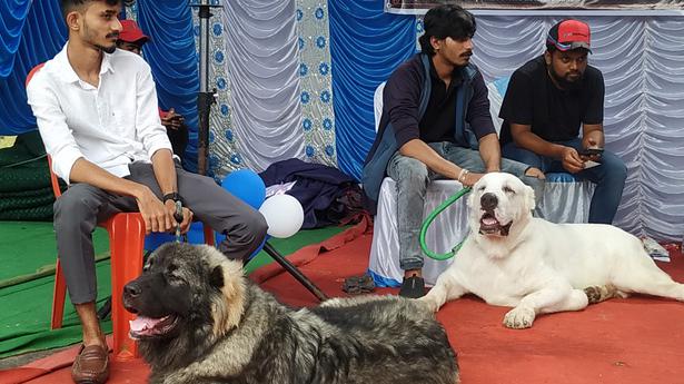 Dog show held in Shivamogga