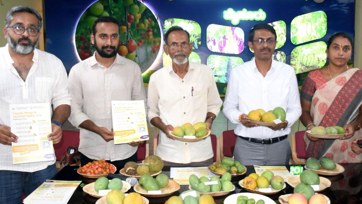 Over 80 mango varieties, 35 jackfruit types on display at Mysuru fest