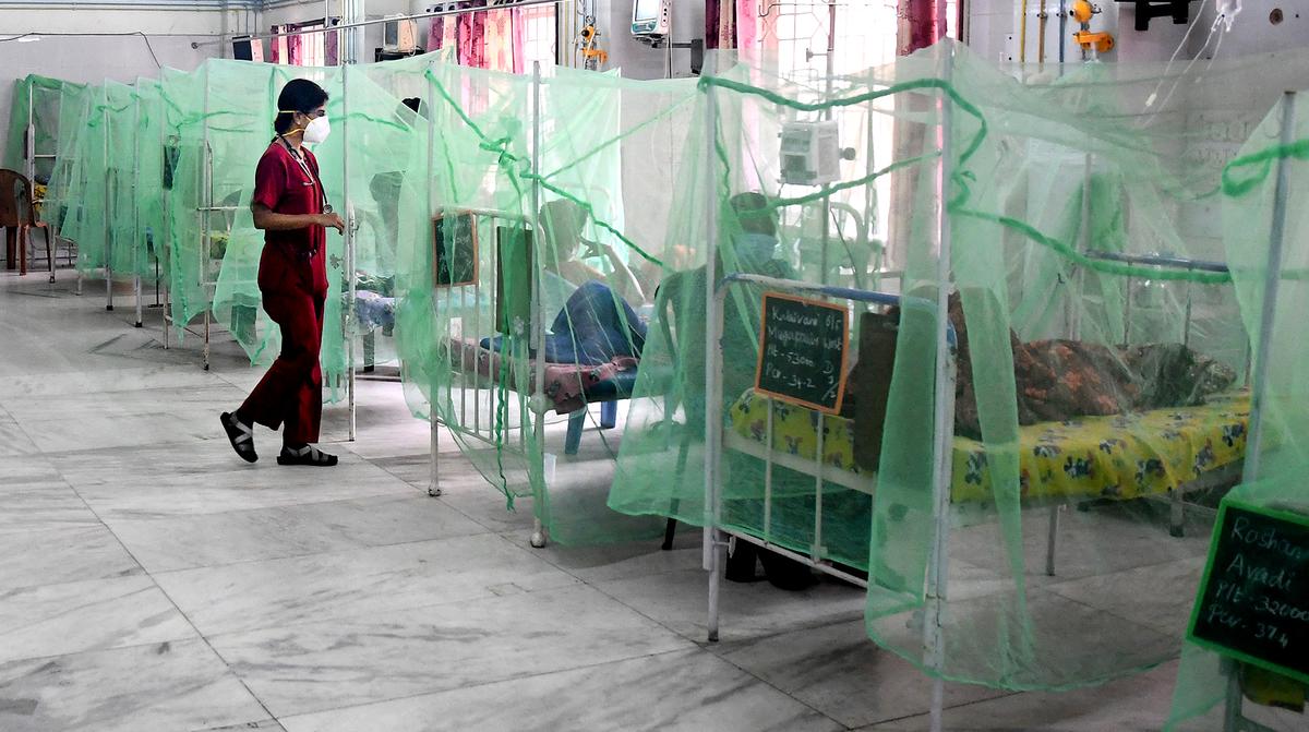 421 H1N1 influenza, 344 dengue active cases in Tamil Nadu The Hindu