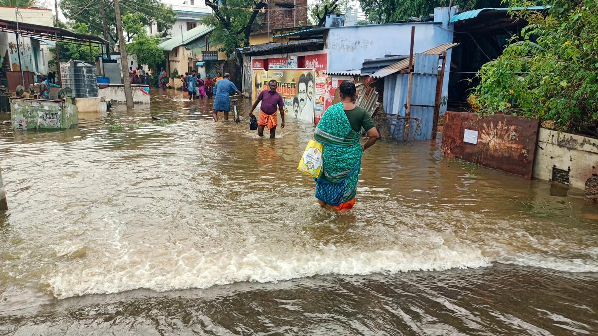 Overnight rain maroons two villages near Rajapalayam