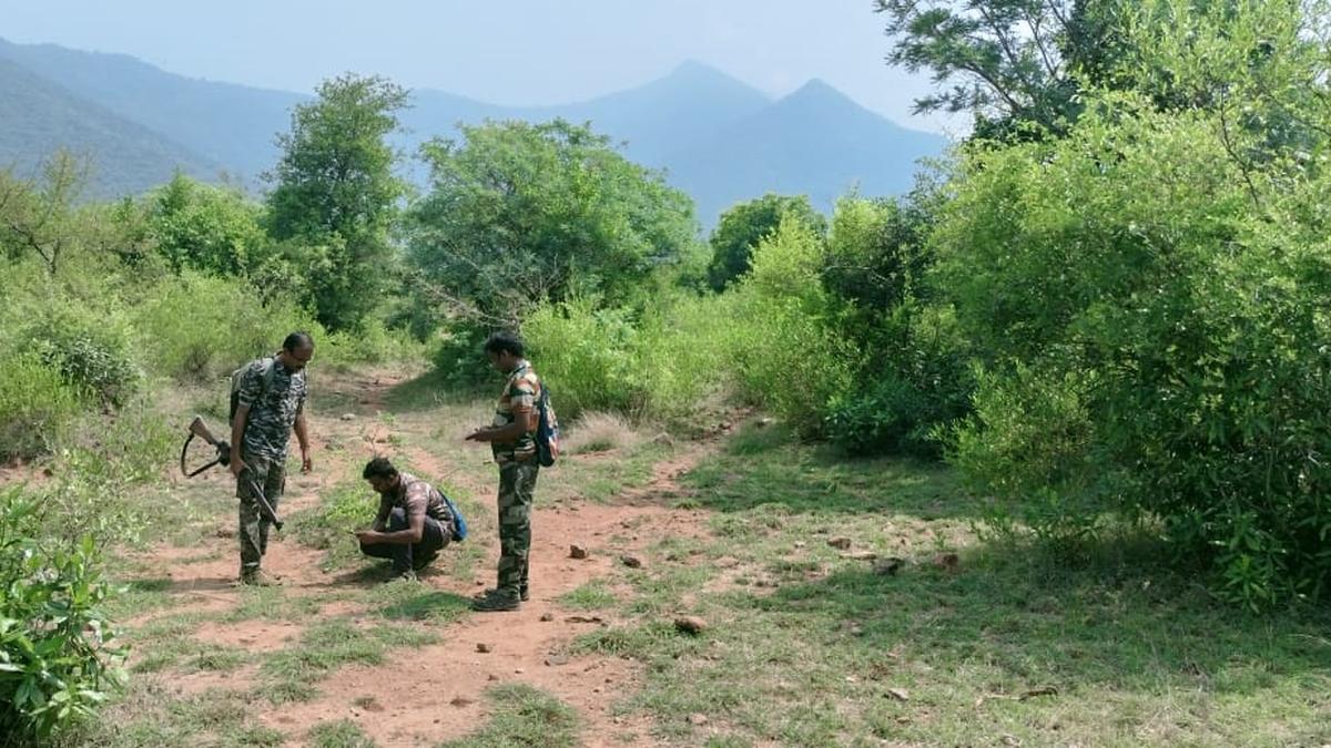 Synchronised elephant estimation begins with direct counting in 699 blocks in Tamil Nadu