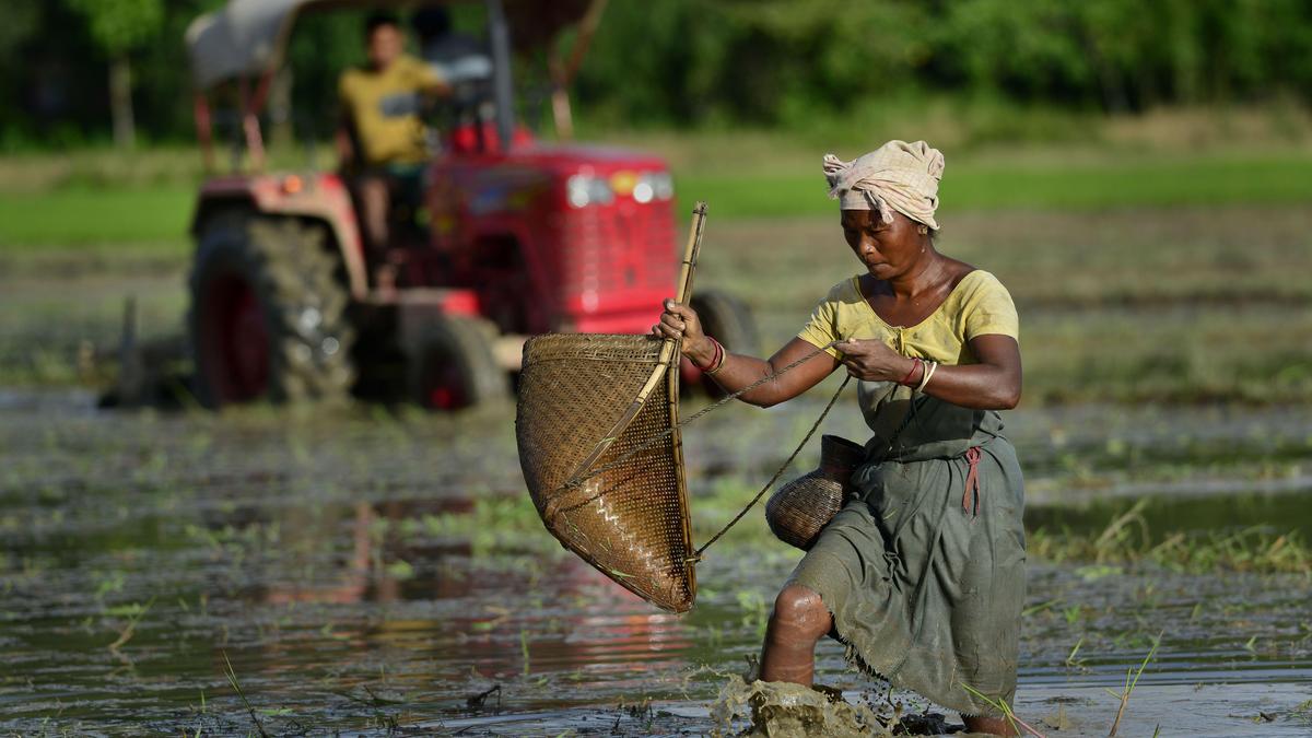 Rights, justice, action for India’s women farmers