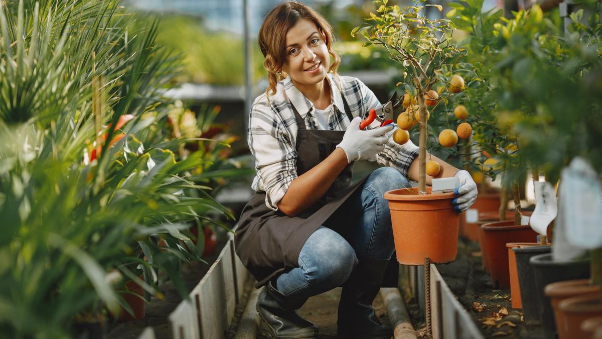 Why permaculture should be introduced in classrooms