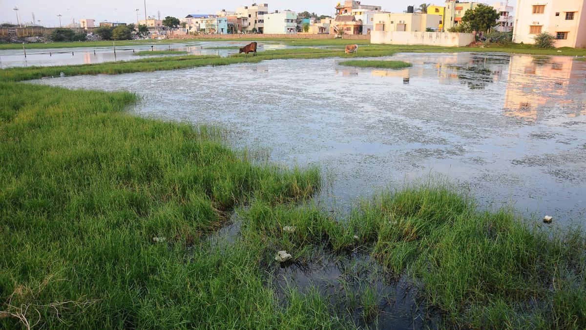 Chennai residents raise concerns over vacant lands being used to dump garbage