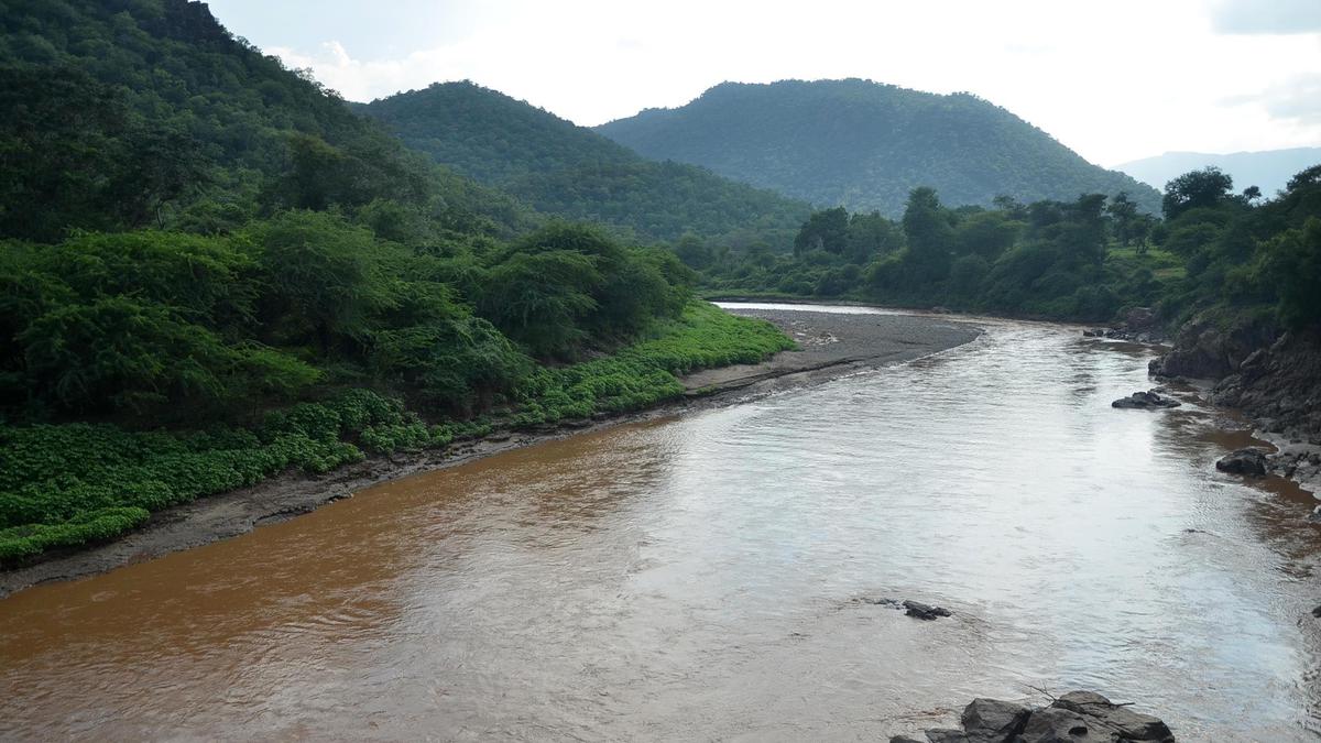 Body of man missing after hunting trip in Mettur, found in river Palar in Erode
