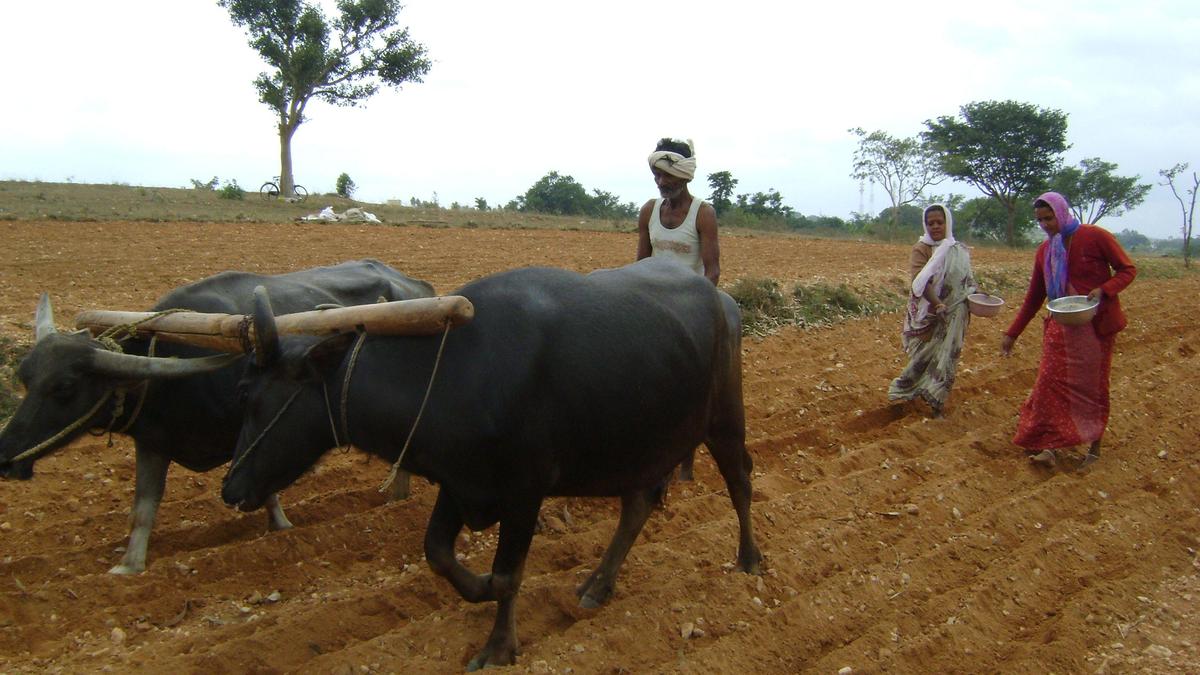 Now khata changes for farmlands in Karnataka can be done through mobiles