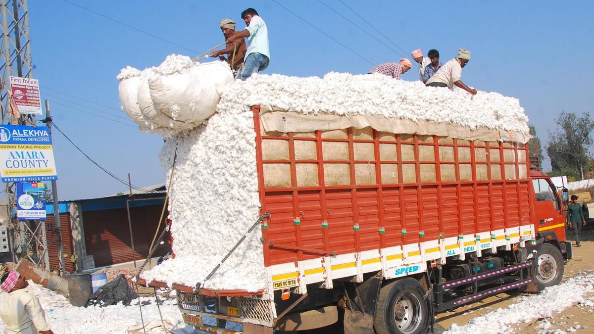 CCI to continue cotton procurement at MSP till month-end