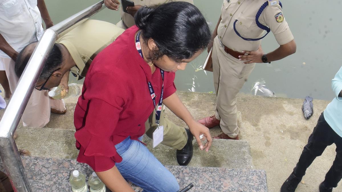 Hundreds of fishes found dead in Tali temple pond in Kozhikode