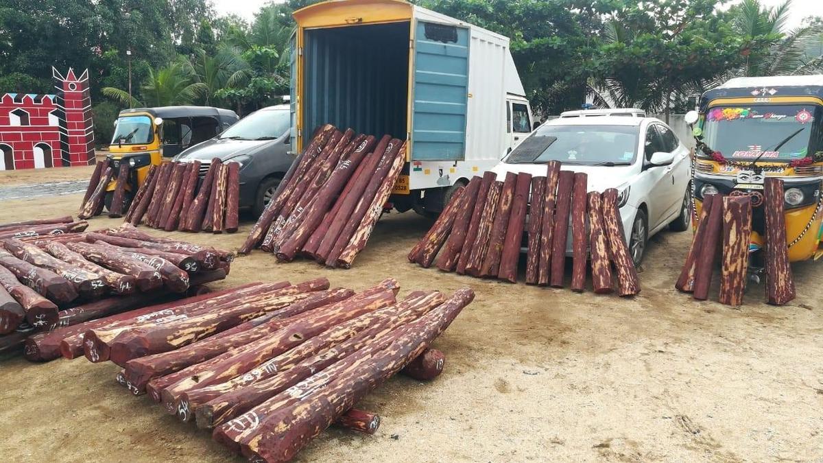 NBA releases ₹3 crore to red sanders growers in A.P. under ABS mechanism