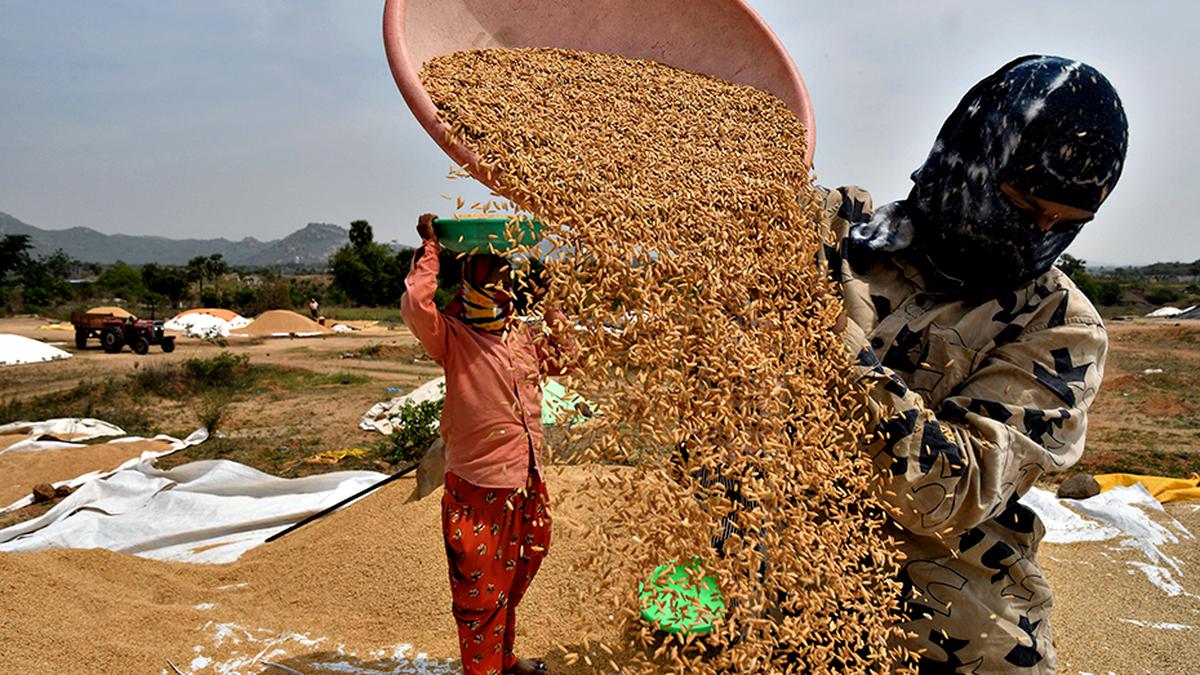 Farmers protest against ‘slow pace’ of paddy procurement, demand purchase of entire rain-soaked paddy