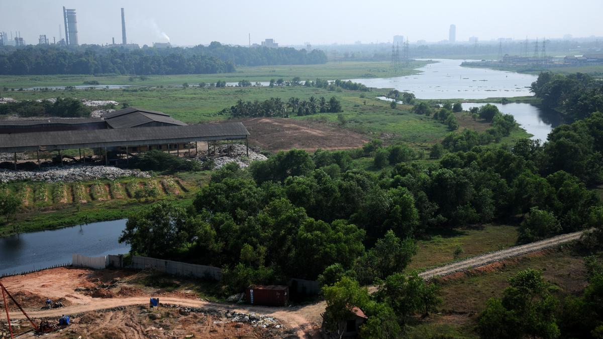 Infopark Kochi waterlogging: Bed profile study of Kadamprayar river in Kerala may help identify water flow issue