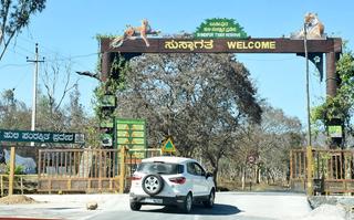 Travel operators urge Karnataka government to resume safaris as livelihoods  hit - The Hindu