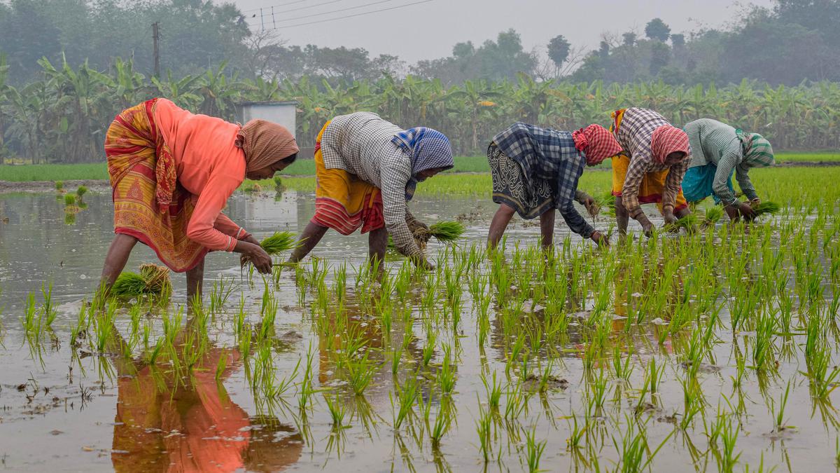 Budget 2023 | Nirmala Sitharaman announces fund to encourage agri-startups