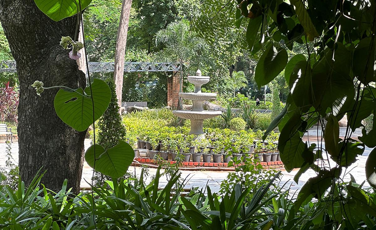 Chennai , 30/09/2023 : A view of the Senganthal Poonga on Avvai Shanmugam Salai in Chennai. Photo : Raghunathan SR / The Hindu