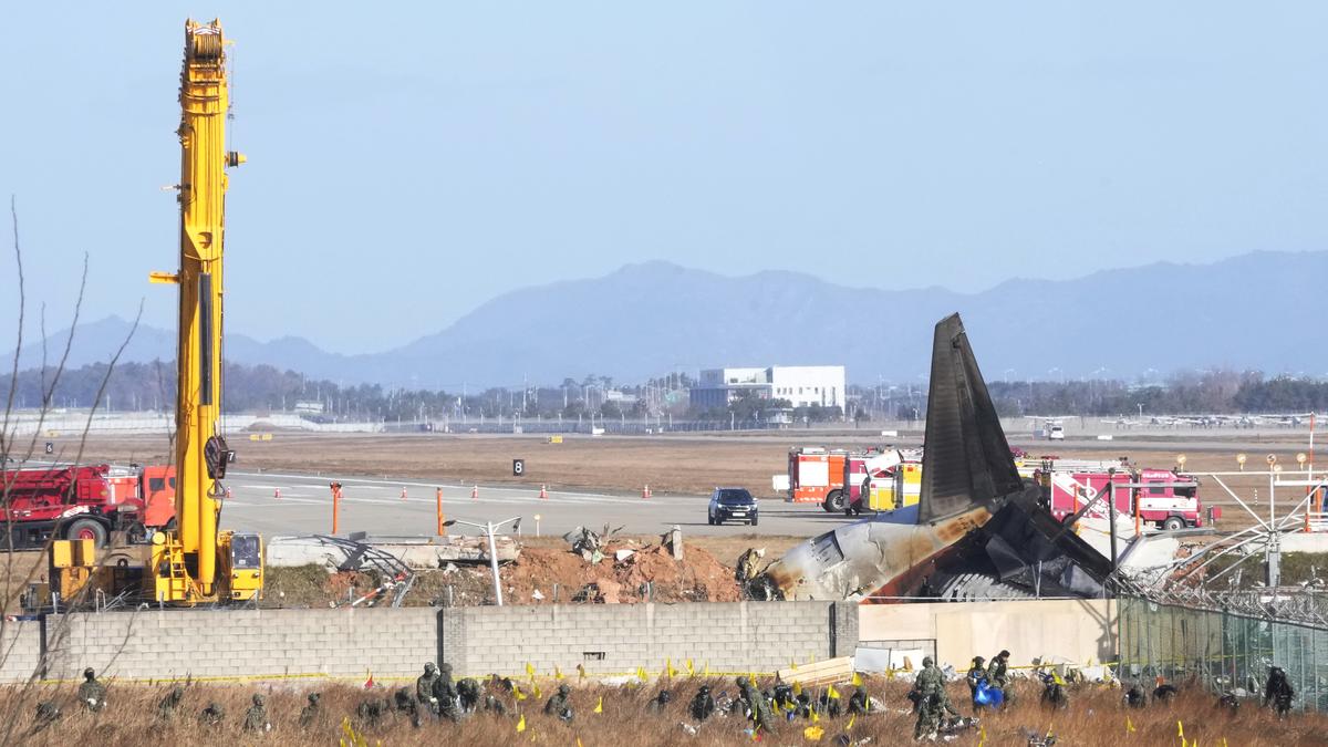 South Korea Jeju Air plane crash report says bird remains found in engines, but no cause yet revealed