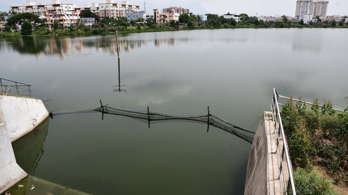Coimbatore Corporation to install Sewage Treatment Plants near four major water bodies