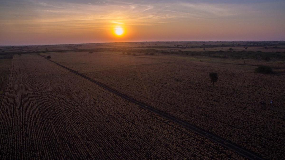 Koppal’s semi-arid landscape emerges as key wildlife refuge, study urges rethink of conservation and ‘wasteland’ classification