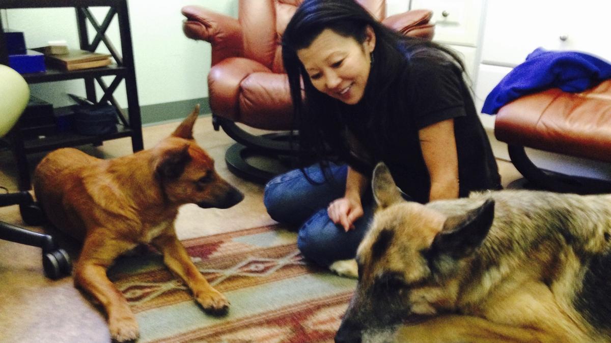 Gene Hackman and Betsy Arakawa’s dog likely died of dehydration and starvation, report says