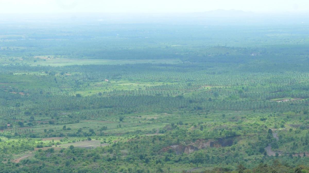 Fresh mining push in Tumakuru forest raises ecological concerns