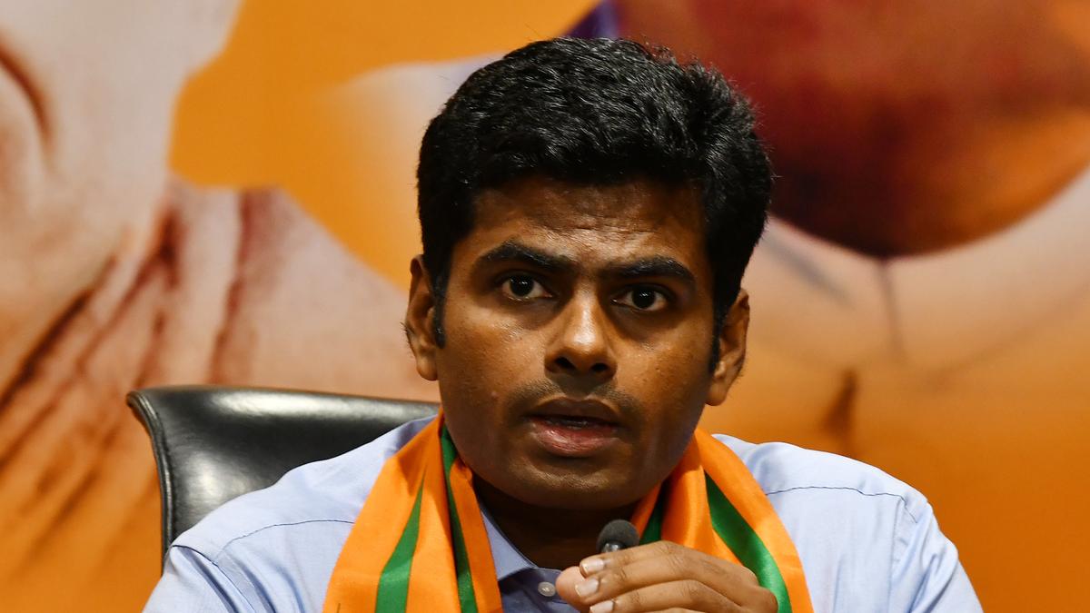 DMK keen on protecting corrupt Ministers: BJP leader Annamalai