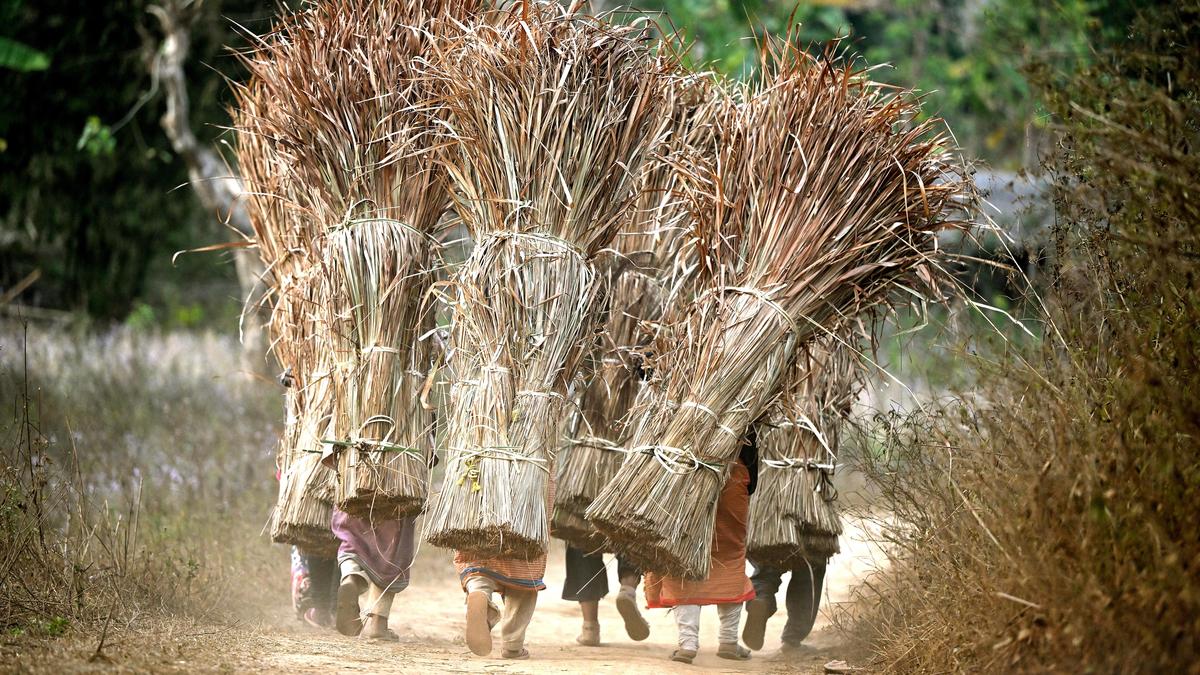 The dismal state of India’s environment