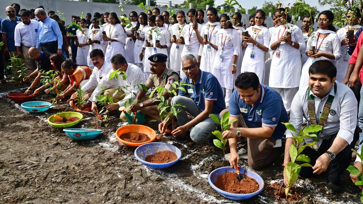Saplings planted on Elcot land in Coimbatore