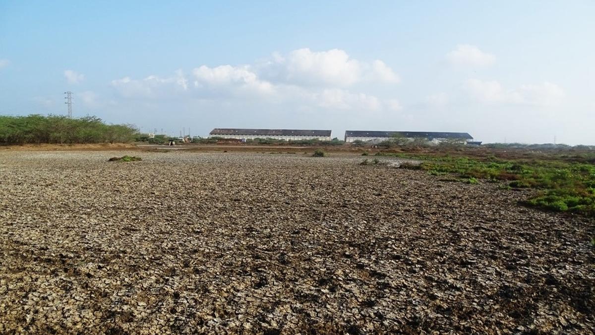 Centre consents to transfer 1,245 acres of Salt Commission’s land to AP Maritime Board in Kakinada