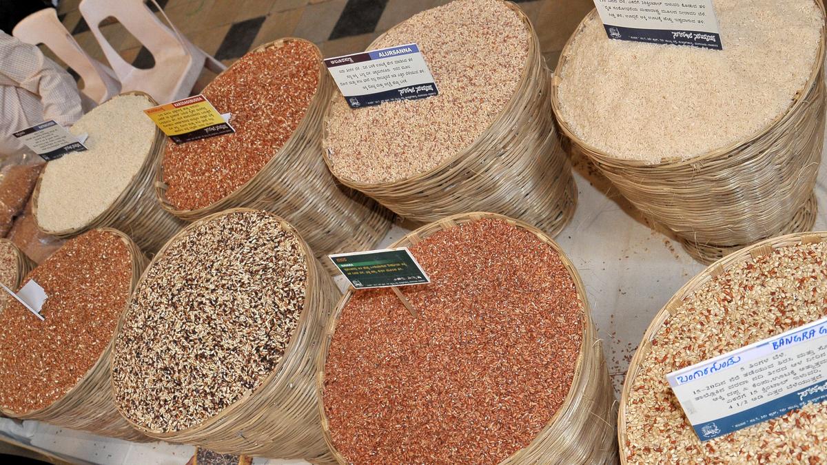 Fed up of being at the mercy of MNCs, farmers in Karnataka are democratising seed production
Premium